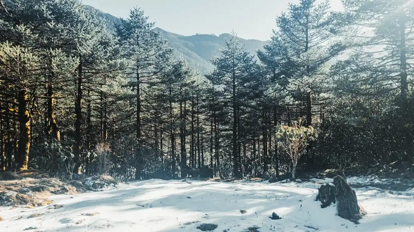 Phuni Valley Viewpoint 